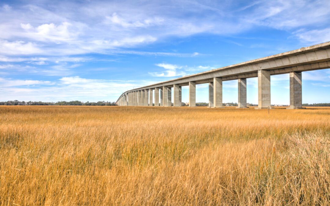 Moving to Daniel Island, South Carolina: Helpful Local Resources For Lowcountry Homeowners